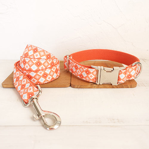 Orange Adventure Matching Collar And Leash Set
