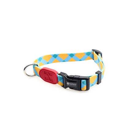 Colorful series of dog collar