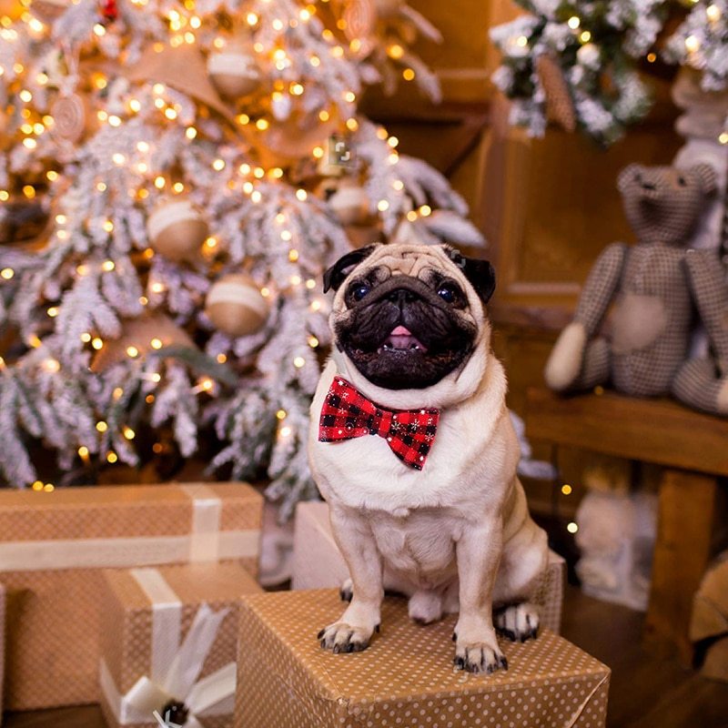 Christmas snowflake red bow collar