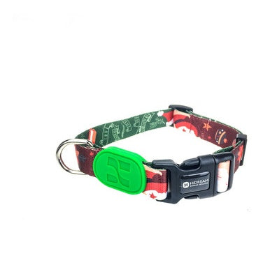 Colorful series of dog collar