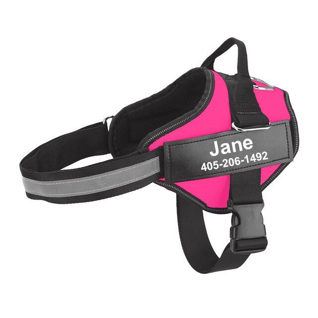 Multicolor Fashionable Personalized Pet Traction Rope