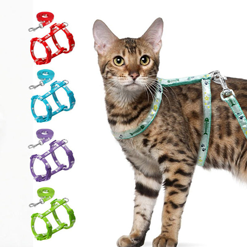 Night light cat traction rope
