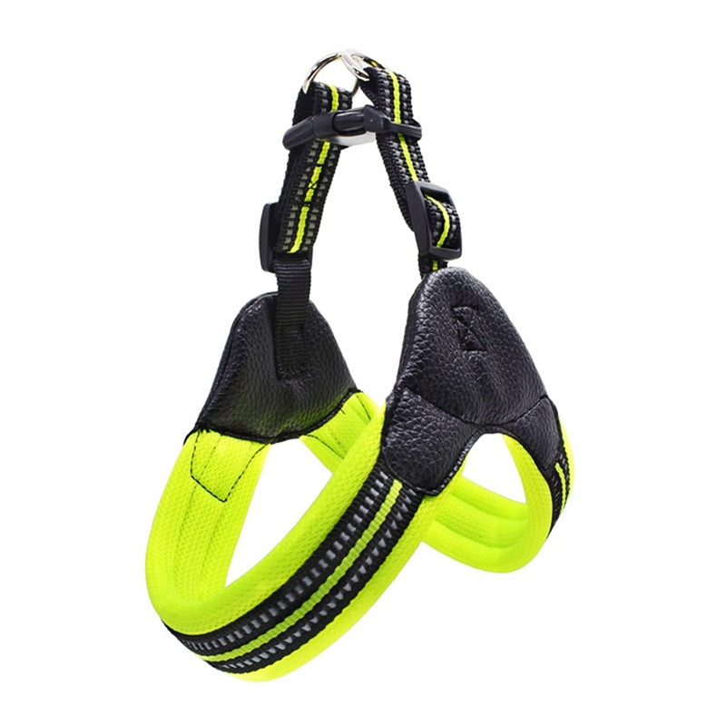 Reflective leash for dog