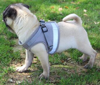 Reflective Dog Harness & Leash Set