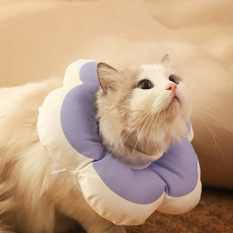 Anti-Licking Soft Cap Cat Collar for Recovery