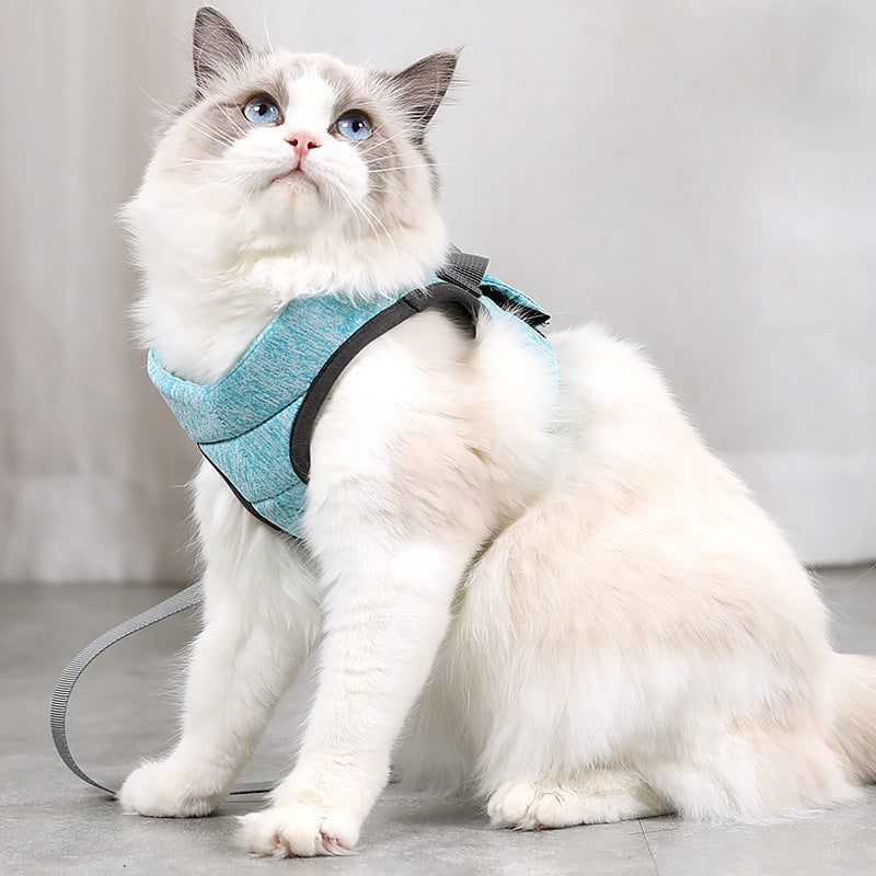 Walking the cat out of the traction rope