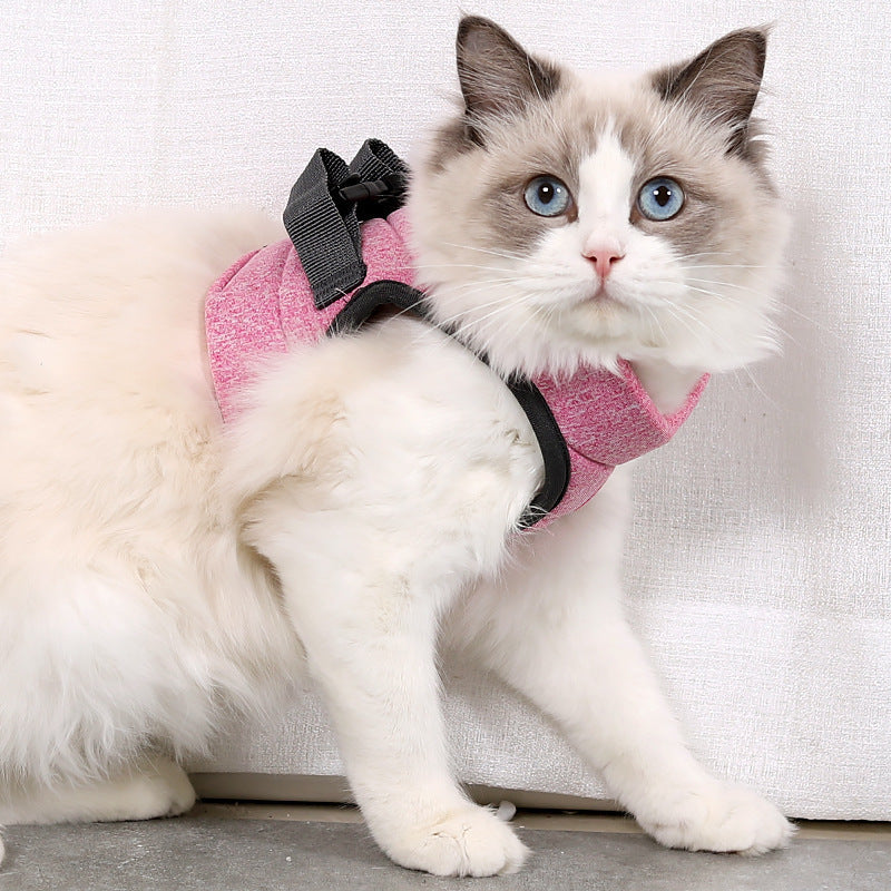 Walking the cat out of the traction rope