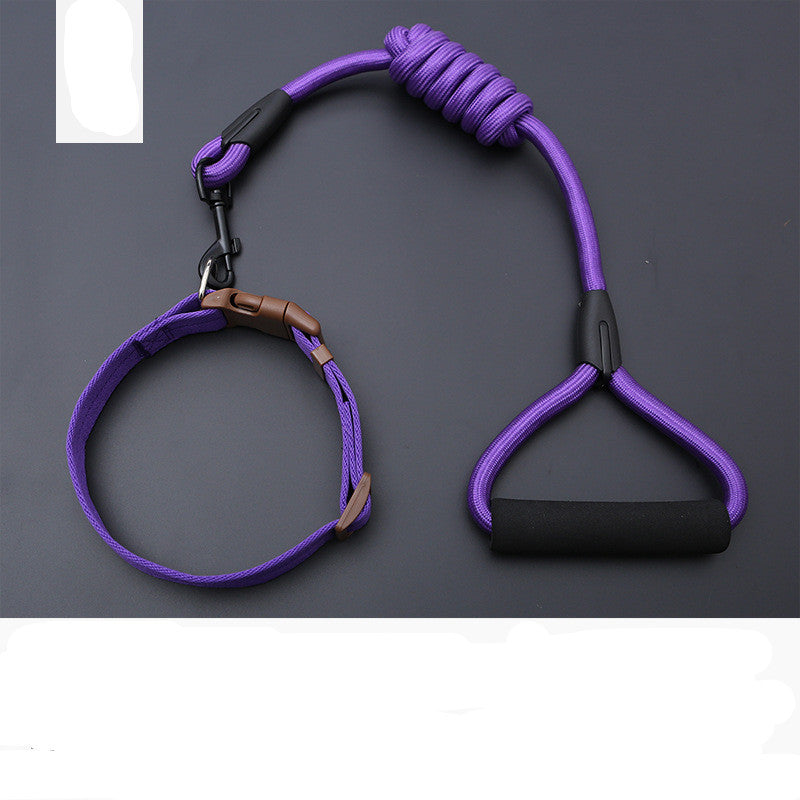 Dog Leash Golden Retriever Teddy Chest Strap Collar
