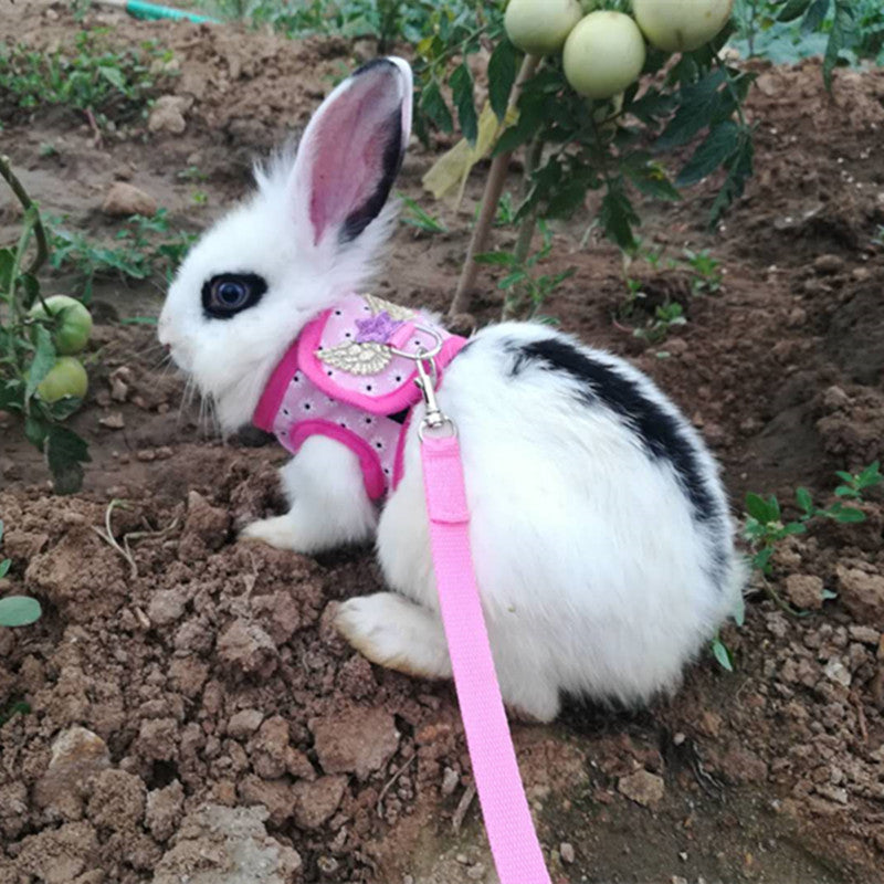 Bunny Special Vest Type Chest Harness Traction Rope