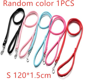 Double Row Flower Pet Collar for Dogs