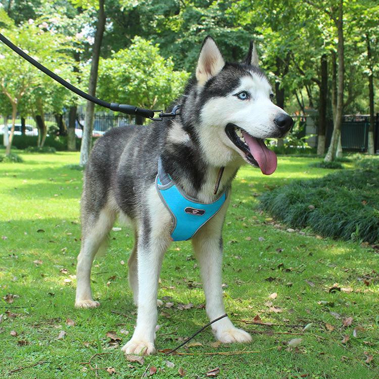 Dog Pet Traction Explosion-Proof Chest Vest Vest