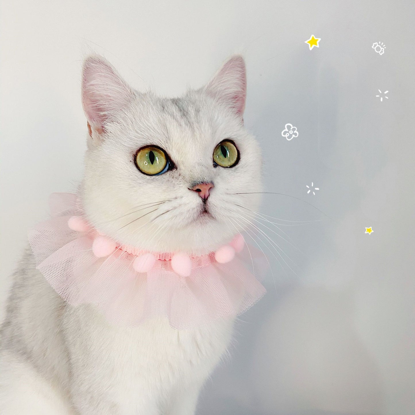Lace Princess Pet Adjustable Collar Collar Cat Dog Photo Accessories Foreign Trade Asian Chinese Style Necklace