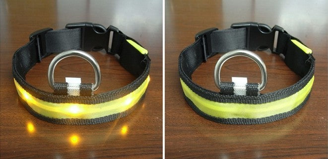 Pomeranian Husky Small And Medium-Sized Big Dog Smlxl Luminous Led Pet Collar