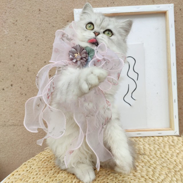 Pet Accessories Cats Dogs Big Bow Puppets Cat Bib Fairy Saliva Towel Collar Bow Tie Adjustable
