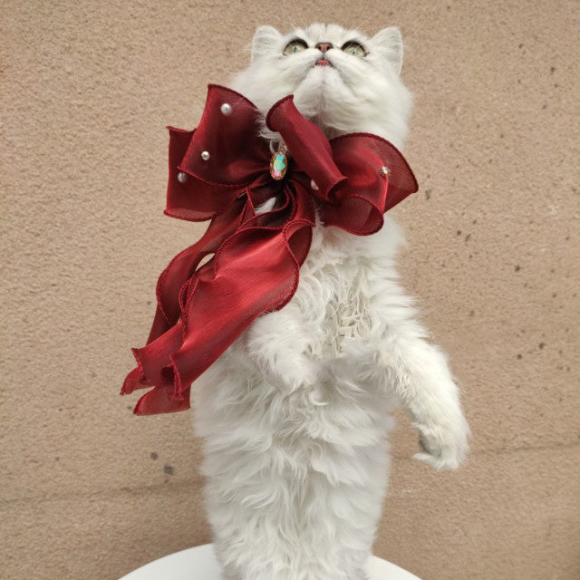 Pet Accessories Cats Dogs Big Bow Puppets Cat Bib Fairy Saliva Towel Collar Bow Tie Adjustable