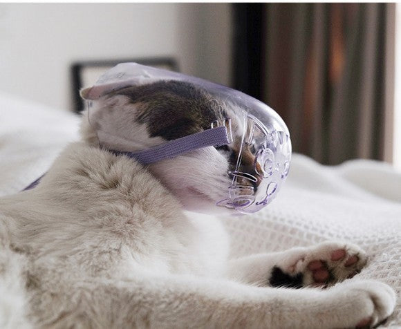 Transparent cat eye mask, cat bite-proof headgear, cat bathing bag, injection, cat collar