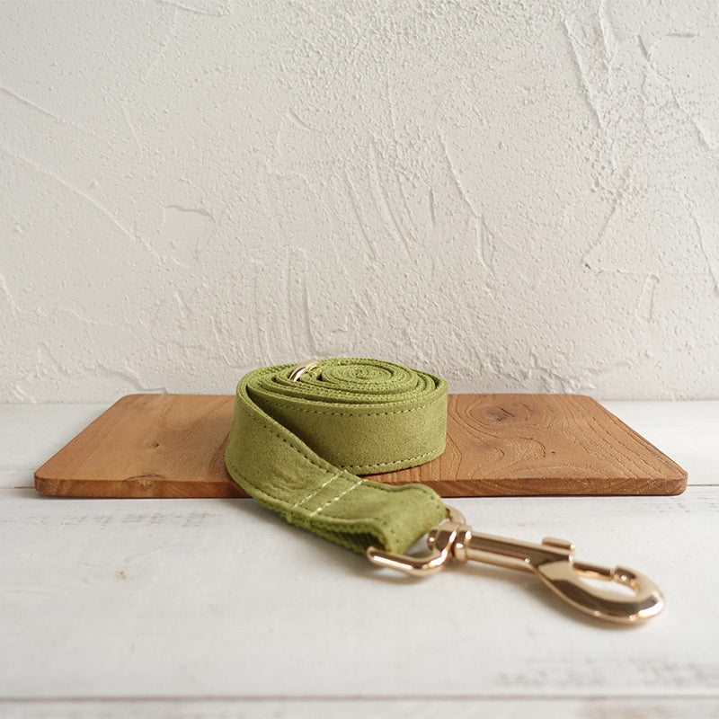 Fruit Green Yellow-green Polyester Fiber Dog Collar Or Leash