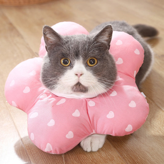 Cat Supplies Anti-bite And Anti-licking Shame Collar Pet Cat Collar Neck Headgear