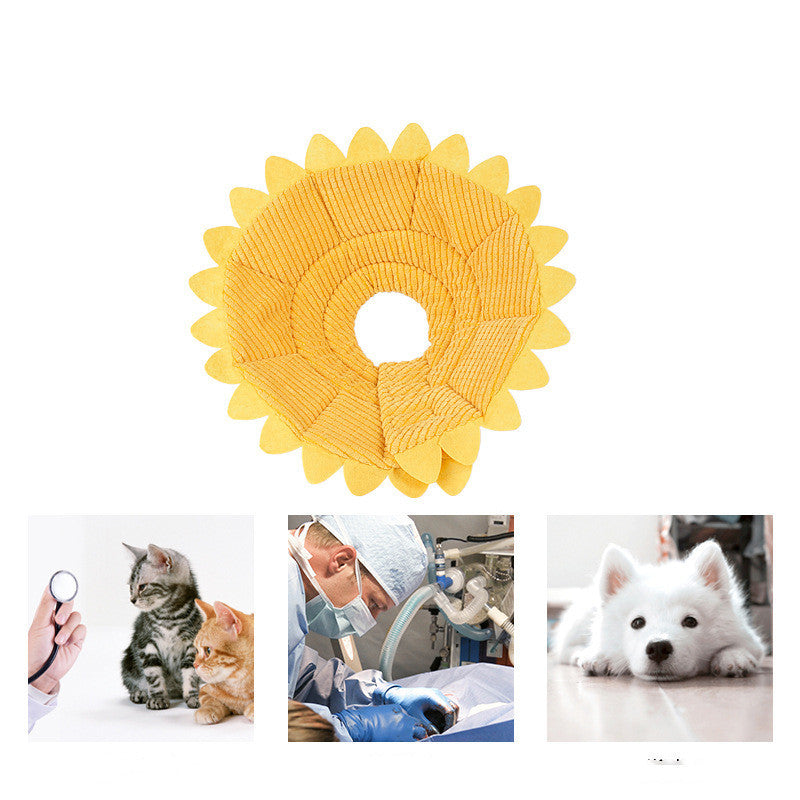 Sunflower Pet Recovery Collar for Postoperative Care