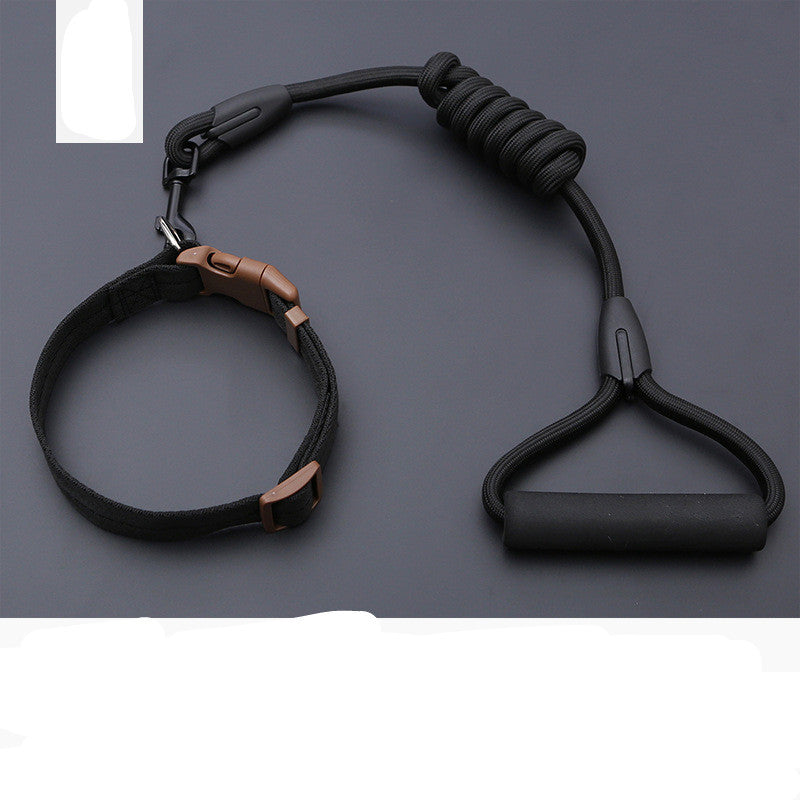Dog Leash Golden Retriever Teddy Chest Strap Collar