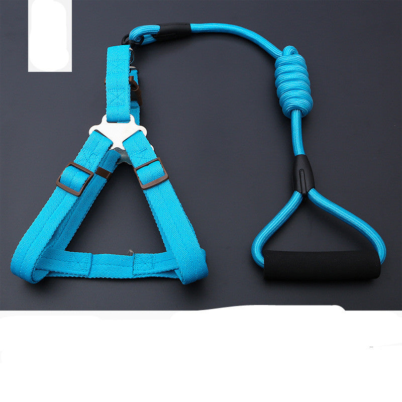 Dog Leash Golden Retriever Teddy Chest Strap Collar