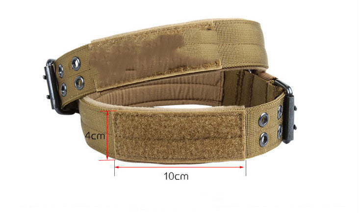Five-speed adjustable nylon pin buckle dog collar