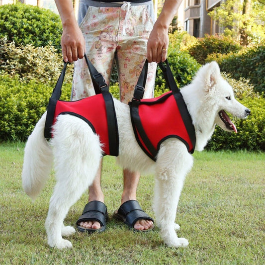 Auxiliary single shoulder lifting strap for injured dog