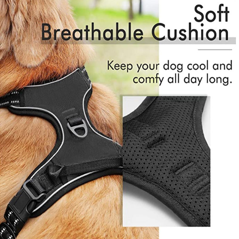Dog Hand Holding Rope Reflective Vest