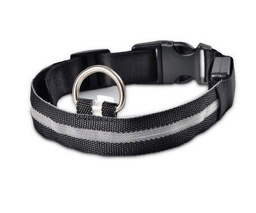 Adjustable LED Dog Collar - Nylon, Glow-in-Dark, USB/Battery Options