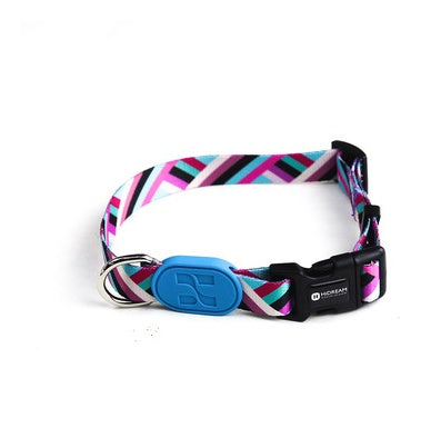 Colorful series of dog collar