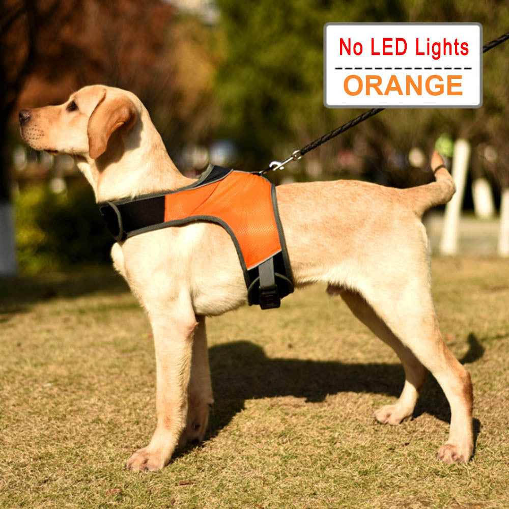 Pet Solid Color K-Shaped Luminous LED Strap