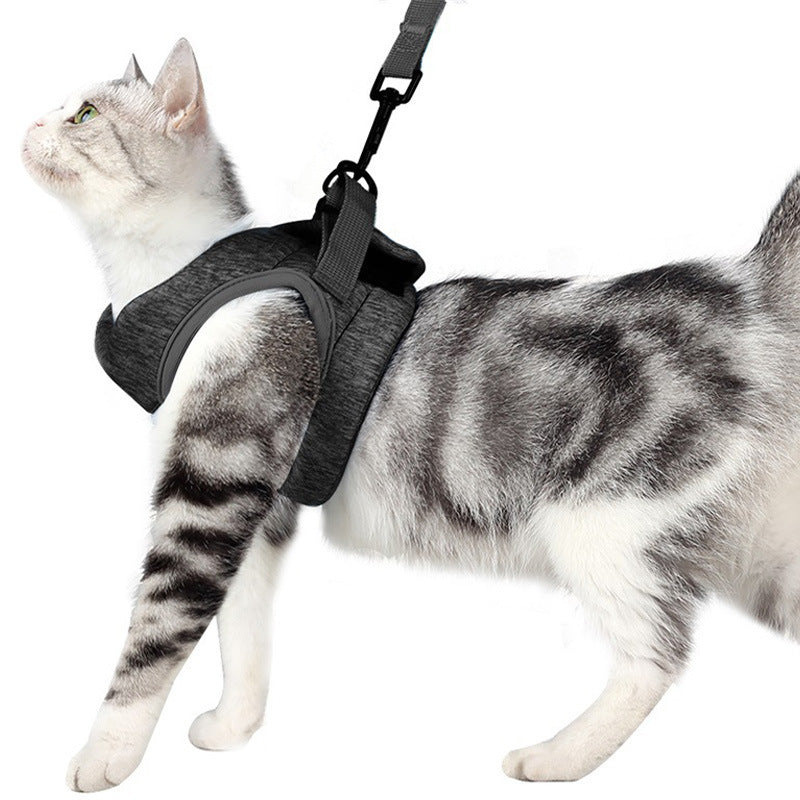 New Cat Traction Rope Breathable Light Chest Strap