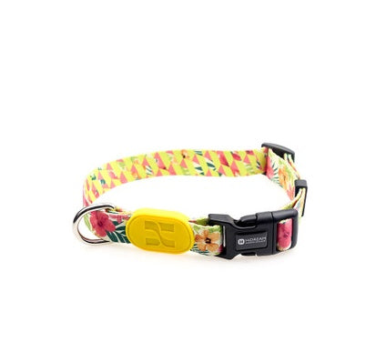 Colorful series of dog collar