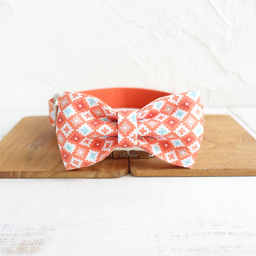 Orange Adventure Matching Collar And Leash Set