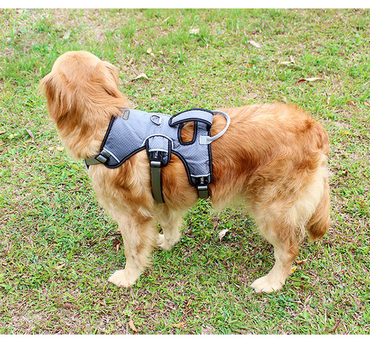 Medium sized large dog pet chest strap