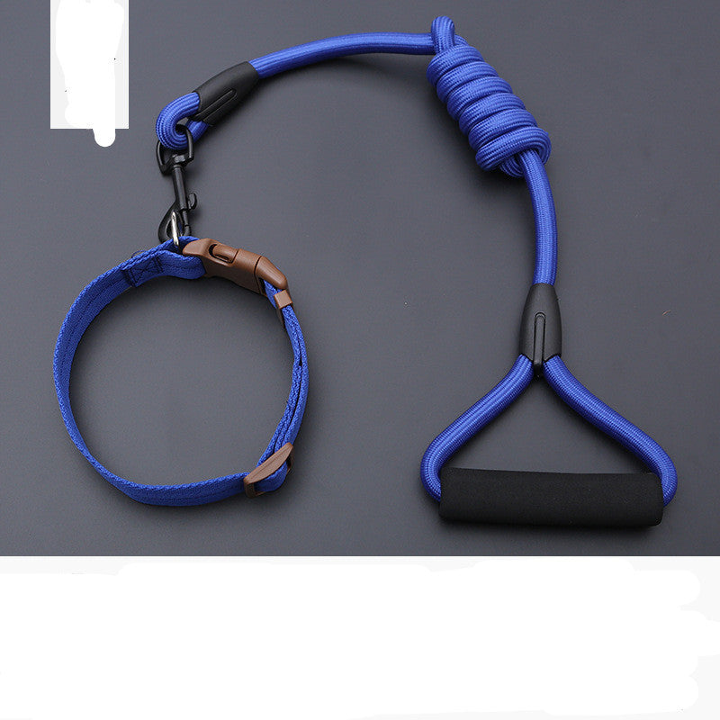 Dog Leash Golden Retriever Teddy Chest Strap Collar