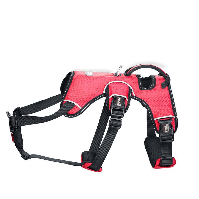 Medium sized large dog pet chest strap