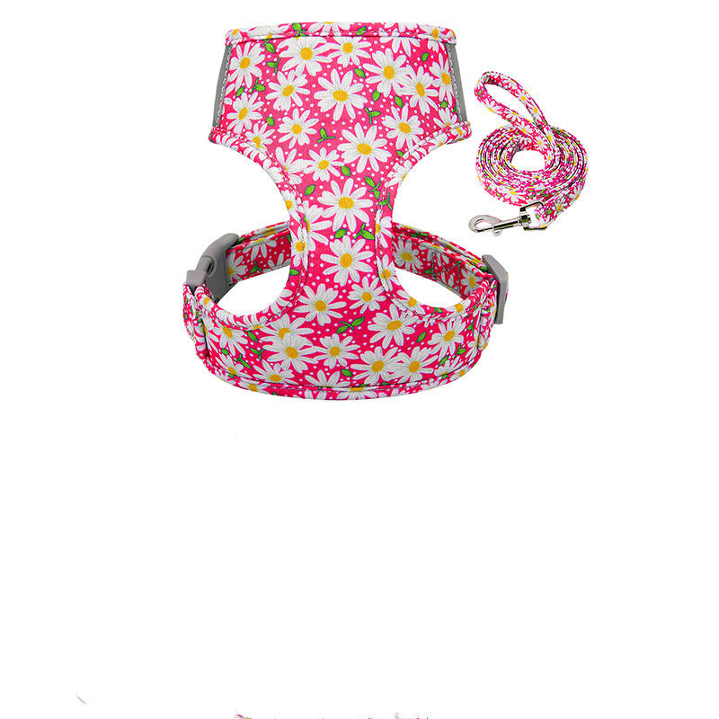 Collar and chest strap