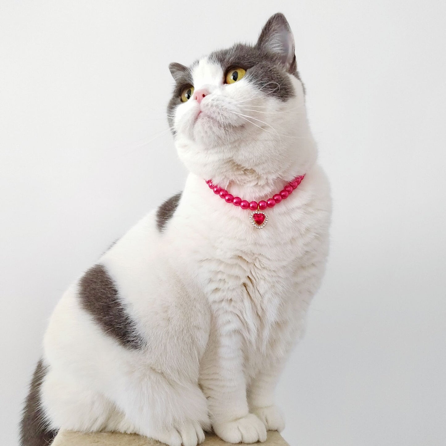 Ondaum Pet Necklace Cat Pearl Pendant Collar – Colorful Gemstone Heart Charm, Adjustable Sizes, Elegant Imitation Pearl Design for Pets