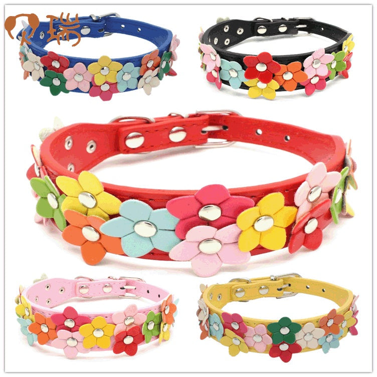 Double Row Flower Pet Collar for Dogs