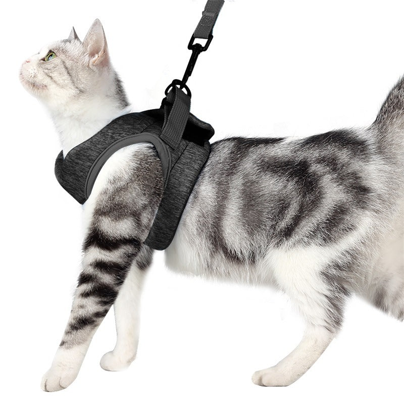 Walking the cat out of the traction rope