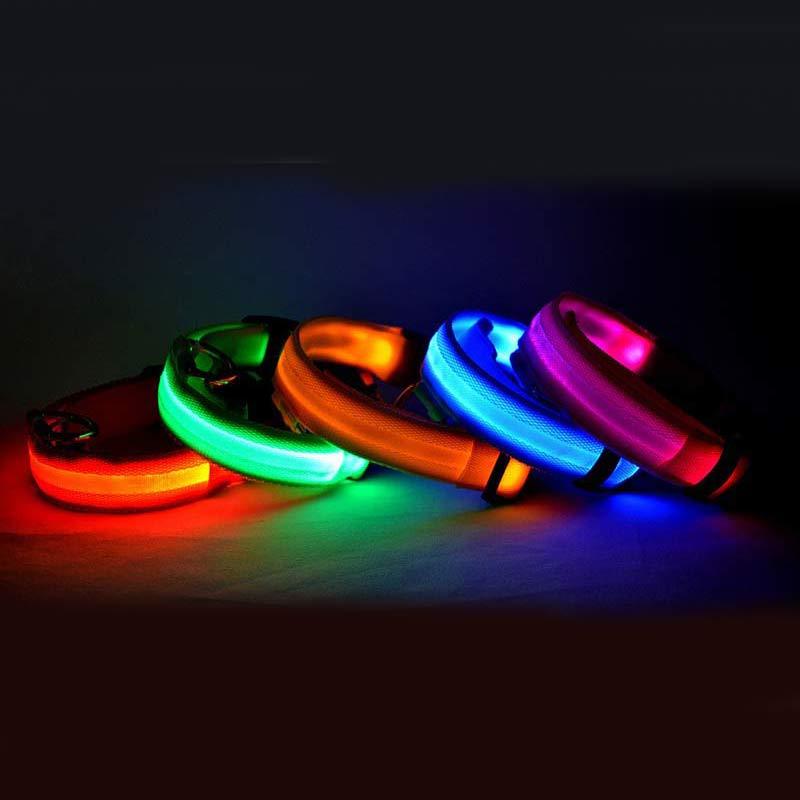 Adjustable LED Dog Collar - Nylon, Glow-in-Dark, USB/Battery Options