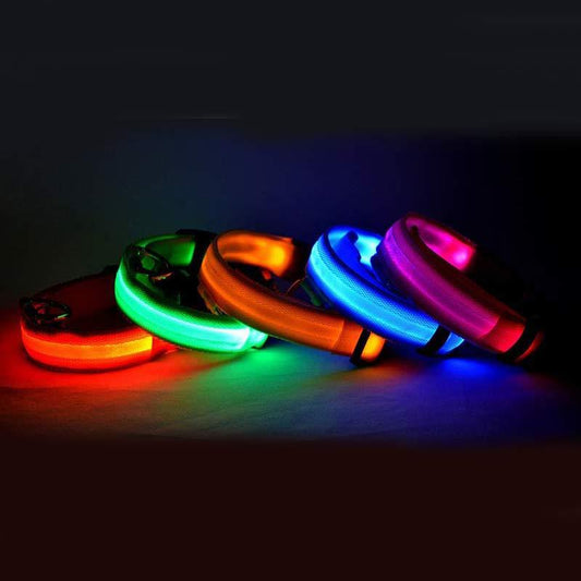 Adjustable LED Dog Collar - Nylon, Glow-in-Dark, USB/Battery Options
