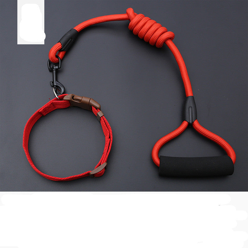Dog Leash Golden Retriever Teddy Chest Strap Collar