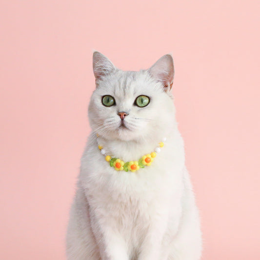 INS South Korea Colorful Pearl Pet Necklace Small Flower Rainbow Peach