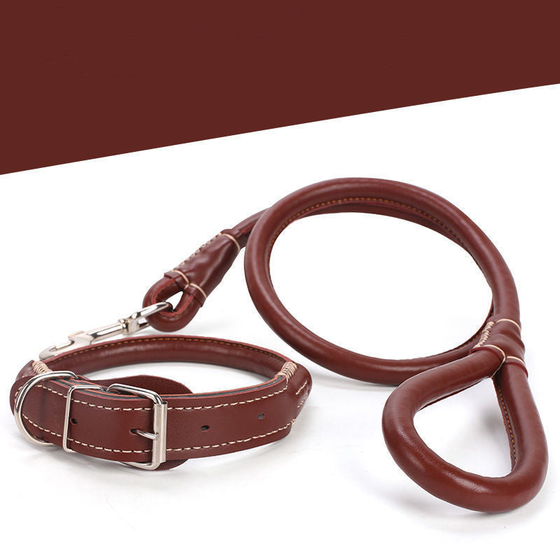 Medium Large Golden Retriever Husky Leather Collar Dog Rope