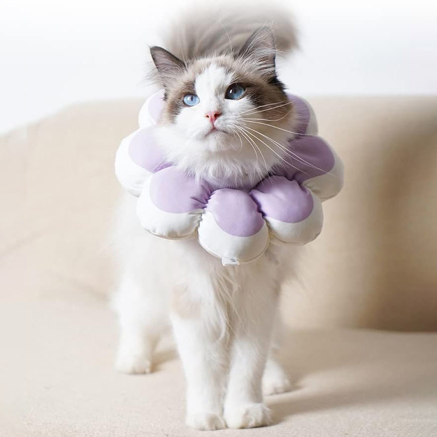 Cat Recovery Cone Collar Pet E-Collar Elizabethan Collar After Surgery Recovery Pet Cone For Cat Puppy Breathable Soft Edge And Easy To Clean