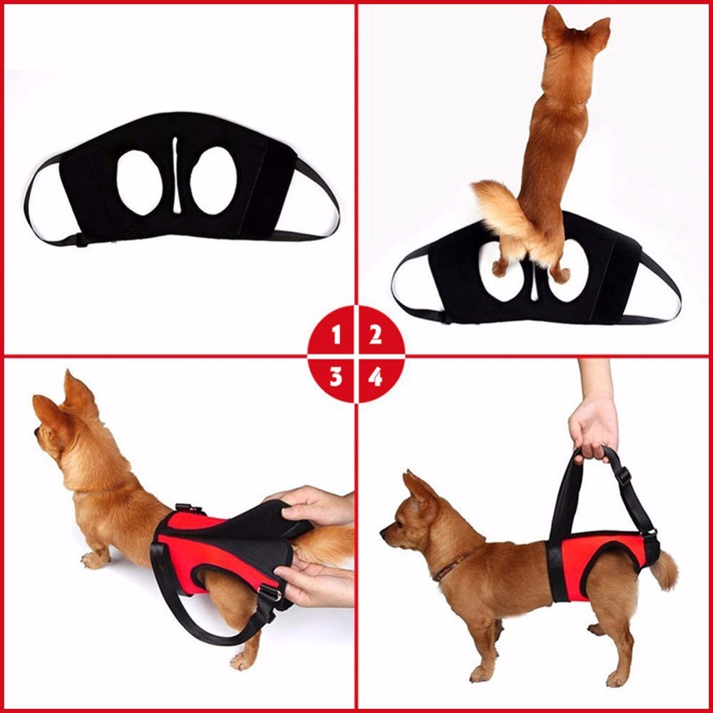 Auxiliary single shoulder lifting strap for injured dog