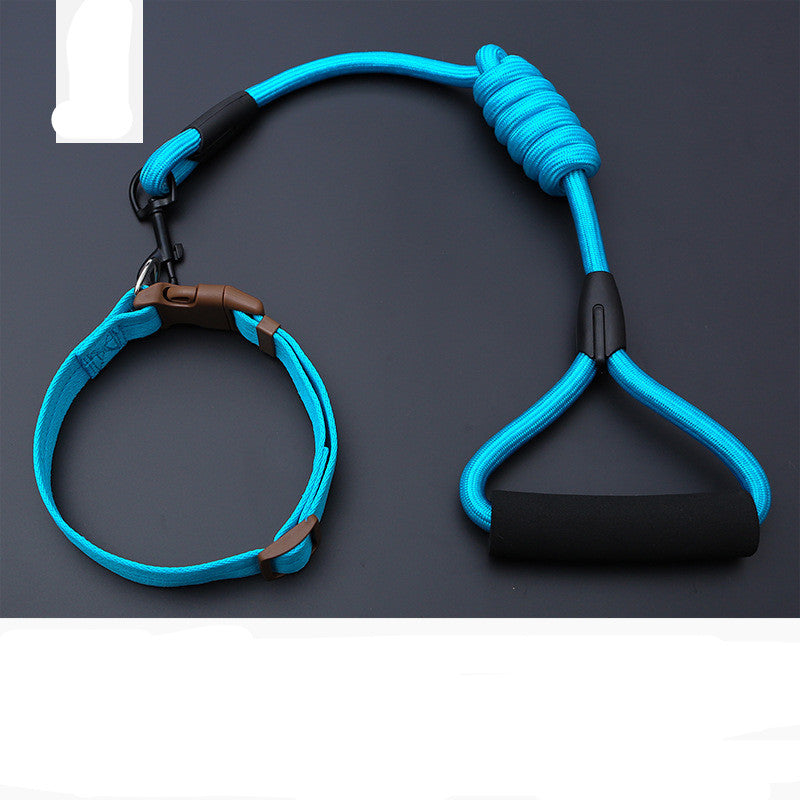 Dog Leash Golden Retriever Teddy Chest Strap Collar