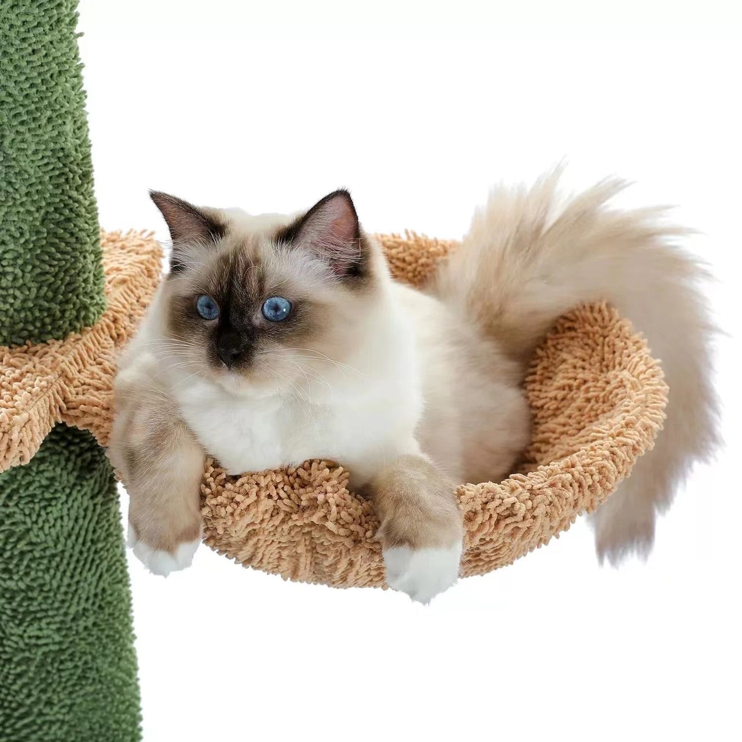Ondaum Cactus Cat Nest – Integrated Cat Tree, Scratch Board, and Climbing Frame